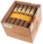 Preview: Cohiba Robusto