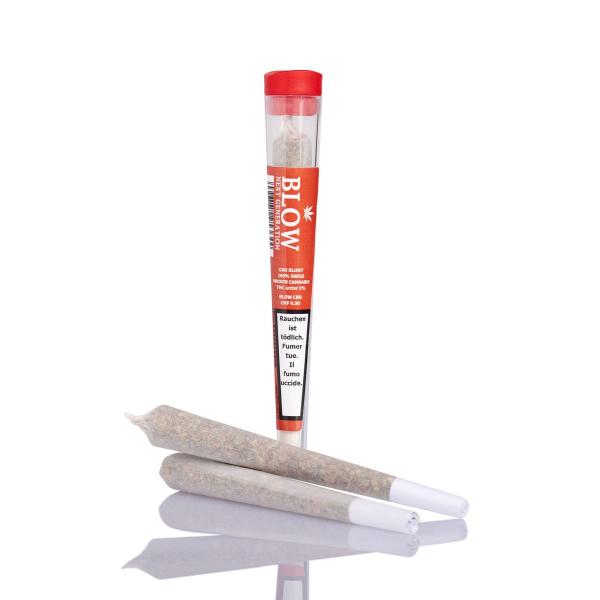 Blow Joint New Generation Cheese (rot)