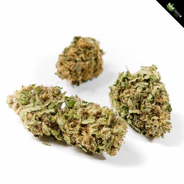 First Class Orange One